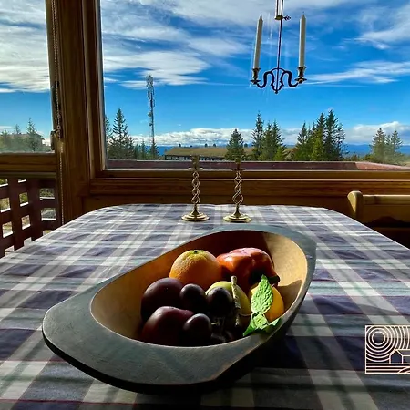 Cozy With A View&ski Inout Appartement Hafjell