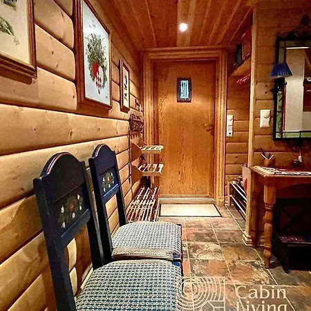 Cozy With A View&ski Inout Appartement Hafjell