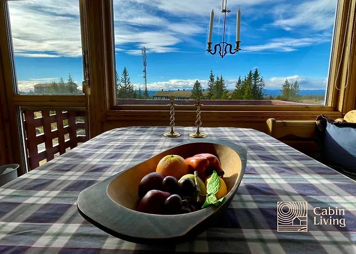 Cozy With A View And Inout Lägenhet Hafjell