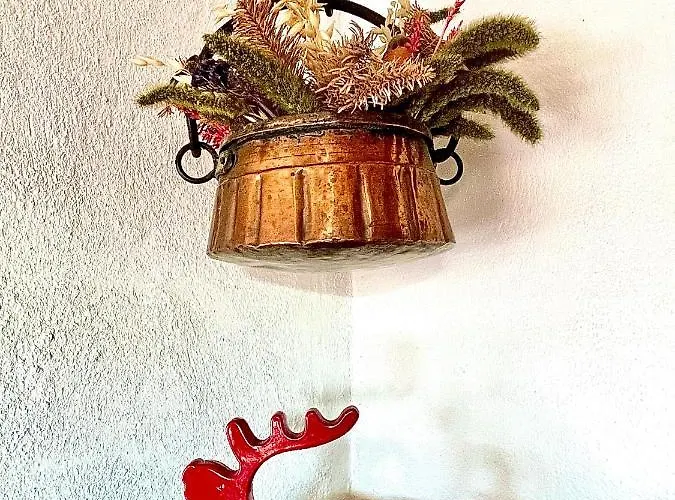 Cozy With A View And Inout *