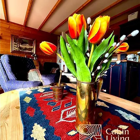 Cozy With A View And Inout * Hafjell