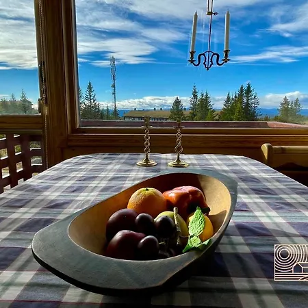 Cozy With A View And Inout Apartment Hafjell