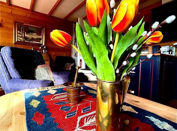 Cozy With A View And Inout * האפג'ל